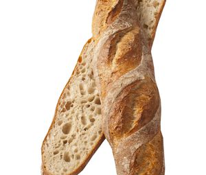 ALOE Vera-s kenyér  koncentrátum 30 %